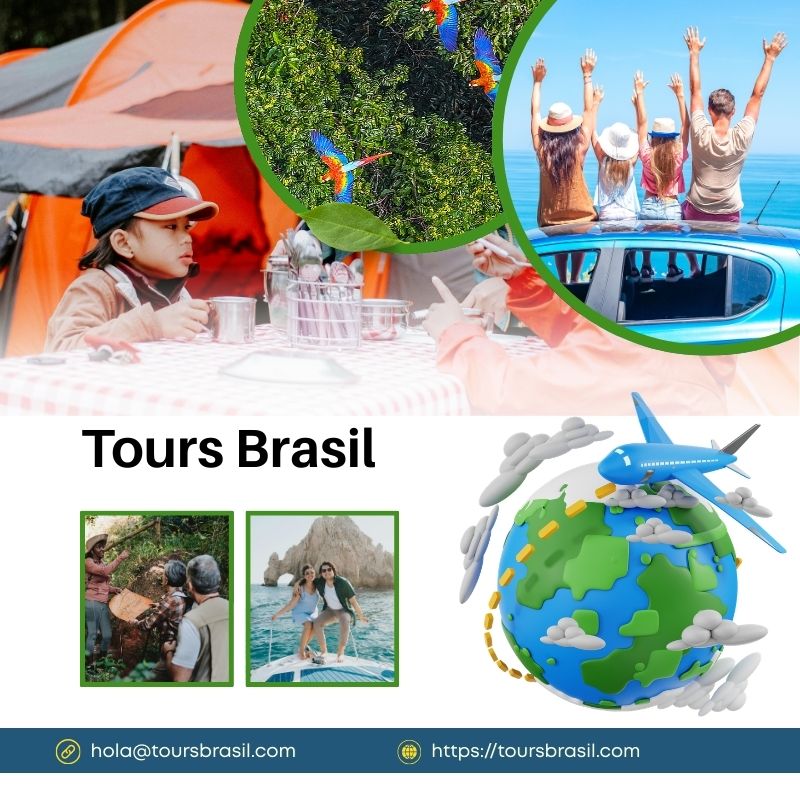 Tours Brasil: exploración de vida marina en Fernando de Noronha