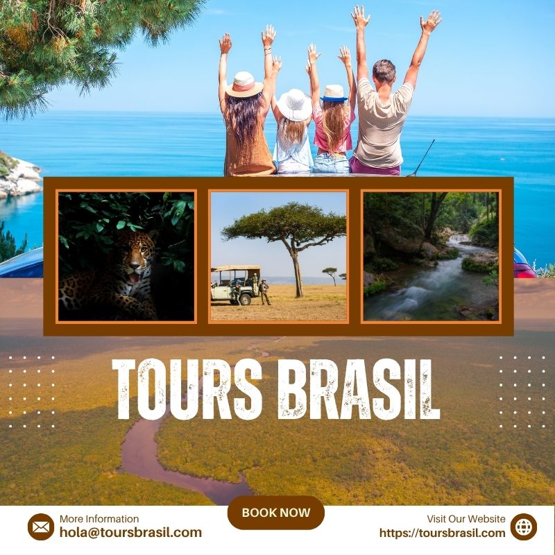 Descubre el mejor Safari fotográfico en el Pantanal con Tours Brasil