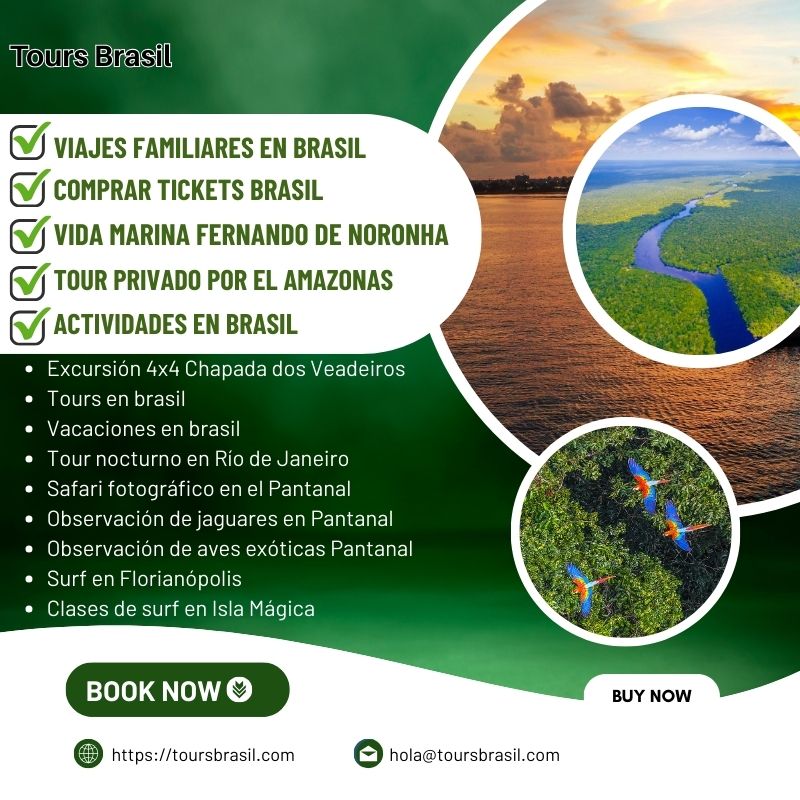 Planifica tus Viajes familiares en Brasil con expertos en turismo