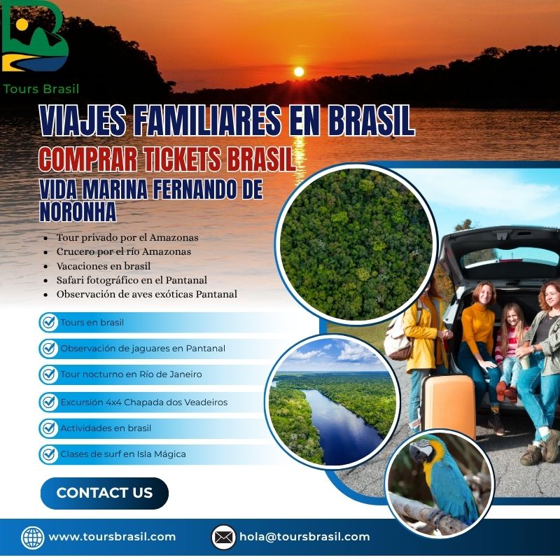 Vive una aventura de observación de aves exóticas en el Pantanal